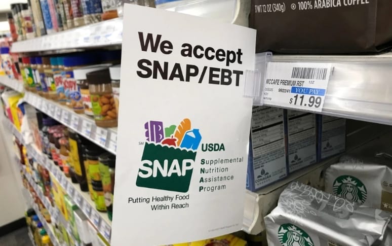 1. Supplemental Nutrition Assistance Program (SNAP)