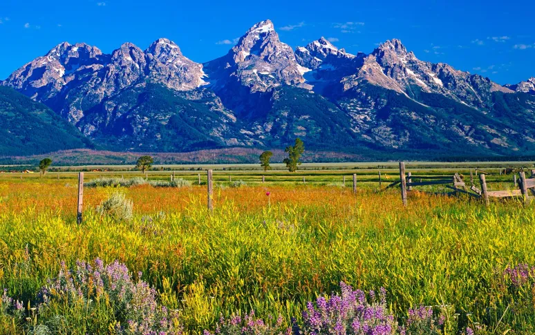 9. Wyoming
