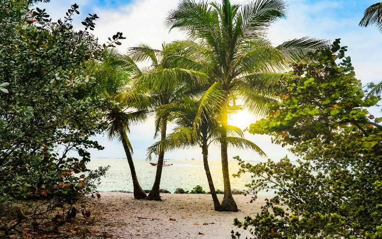 2. Florida