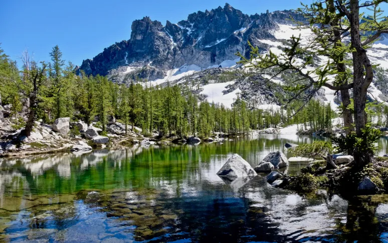 8. Washington