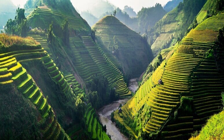 4. Vietnam