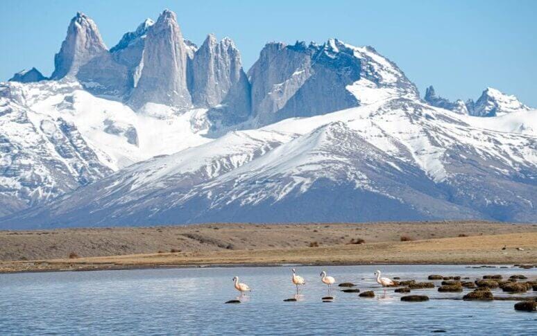 7. Chile