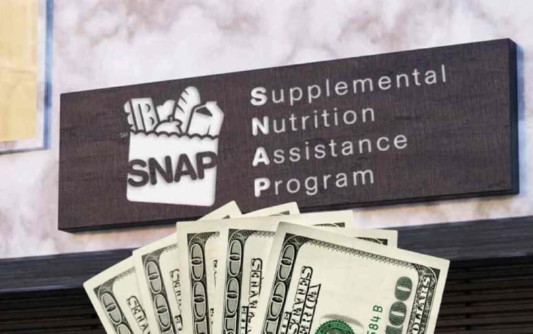 1. SNAP: A Quick Overview