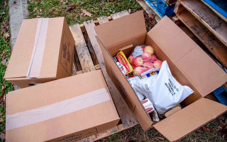 4. Introducing Government-Distributed Food Boxes