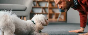 6-interesting-and-easy-dog-tricks