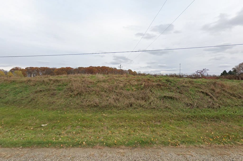 Live christmas tree farms michigan