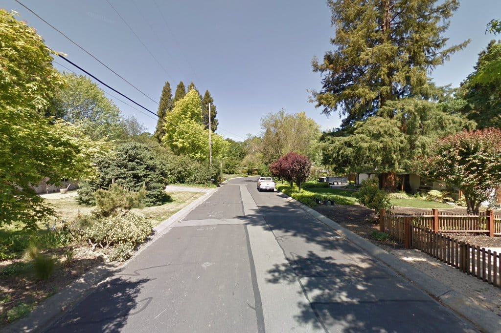 California Choose and Cut Tree Farms The County Office