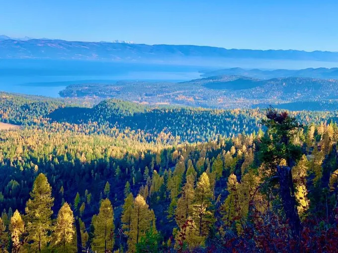 Somers, Flathead County, MT Undeveloped Land for sale Property ID: 418609341