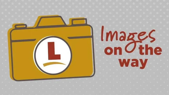 2019 Thor Motor Coach Freedom Elite 22FE 24ft for Sale
