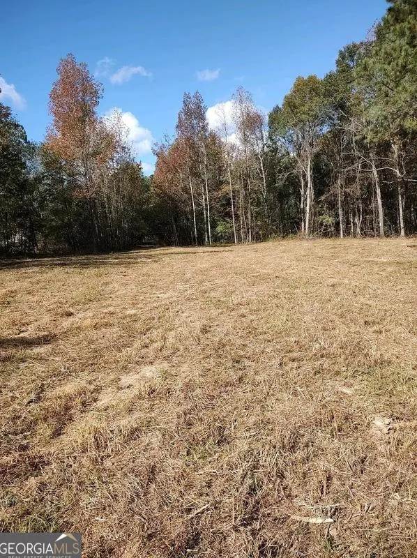 Lot 5 Irish Hill Dr, Concord, GA 30206 - MLS 20154728 for Sale