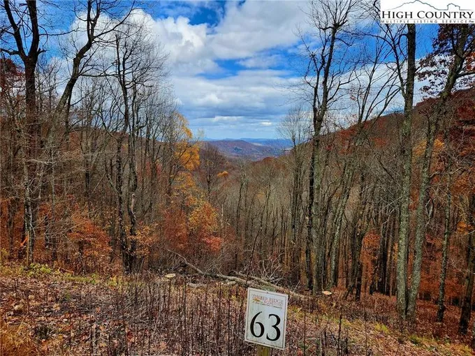 Lot 63 Bob Timberlake Drive, Boone, NC 28607 for Sale