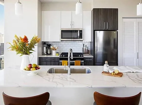 898 S Wabash Ave unit A 5306 - Chicago, IL 60605 - Home For Rent