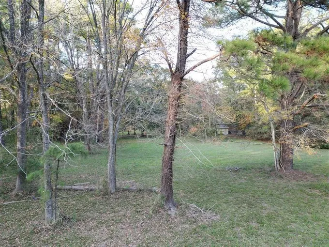 0 Dana Drive, New Waverly, TX 77358 for Sale