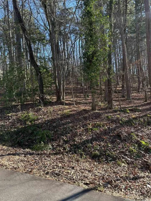 ARIAS WAY, Hot Springs Village, AR 71909 Land For Sale  MLS# 24001261