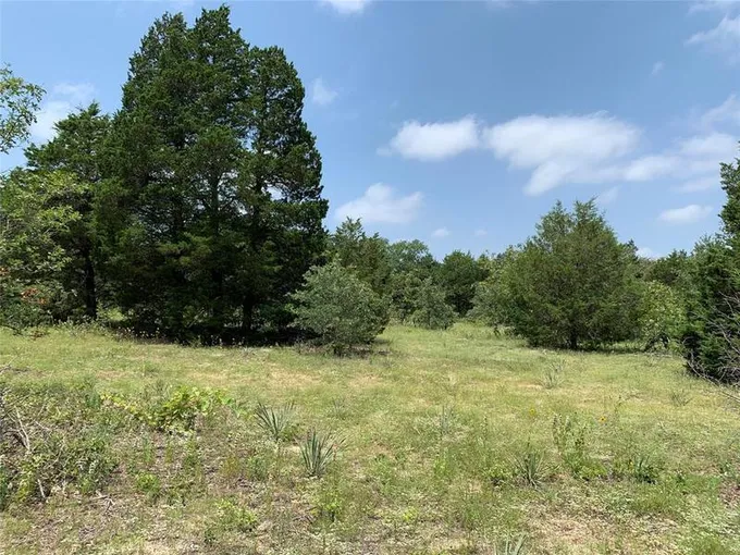 TBD Hills Dr, Athens, TX 75751 for Sale