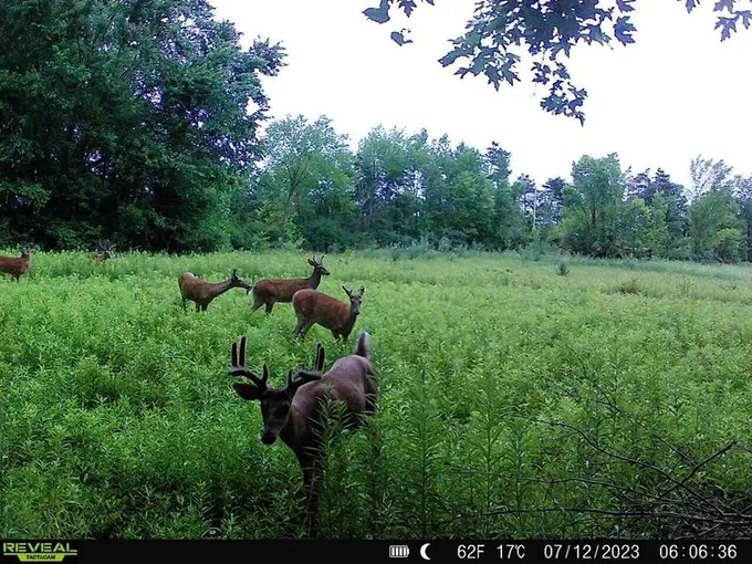 Adrian, Lenawee County, MI Undeveloped Land for sale Property ID: 418902779