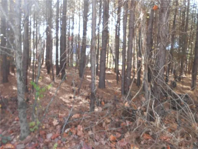 0 Tidewater Road, Salisbury, NC 28146 for Sale