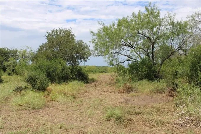00 Lot 2 Vista Fina Drive, Sandia, TX 78383 for Sale