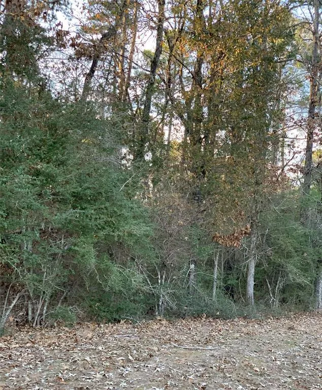 TBD Eleventh St, Onalaska, TX 77360 for Sale