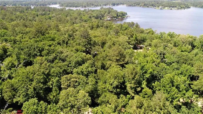 TBD Forest Road, Crockett, TX 75835 for Sale