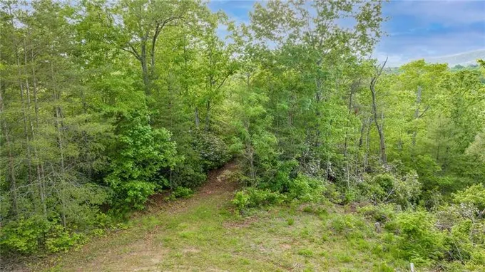 0 Mountain Lion Trail, Unit 40E, Sautee Nacoochee, GA 30571 for Sale