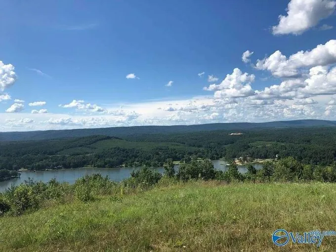 620202829 Property, Cedar Bluff, AL 35959  620202829 for Sale