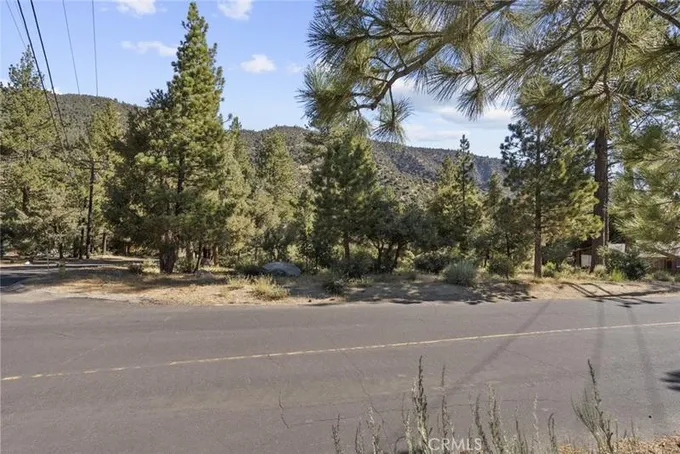 16021 Mil Potrero Fire Road, Pine Mountain Club, CA 93222 for Sale