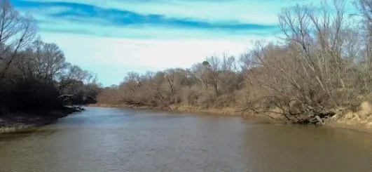 TBD Private Rd, Carthage, TX 75633 for Sale