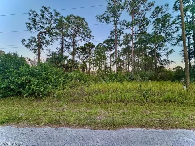 810 Magnolia Ave, Lehigh Acres, FL 33972 - MLS 223082591 for Sale