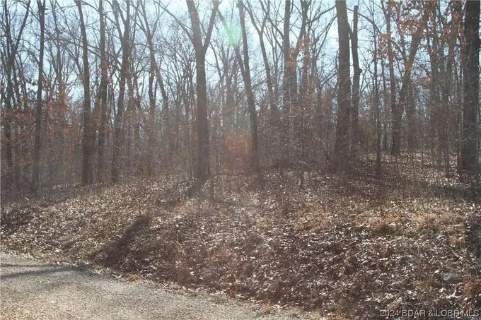 Guccione Road, Edwards, MO 65326  624964338 for Sale