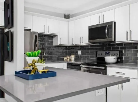 1130 S Michigan Ave unit 102 - Chicago, IL 60605 - Home For Rent