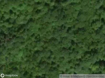 Bogardus Rd for Sale