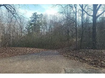 Red Sulphur Rd for Sale