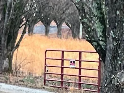 Longs Homestead Farm Rd for Sale
