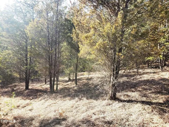 00 Buzzard Roost Road, Bulls Gap, TN 37711  623826188 for Sale