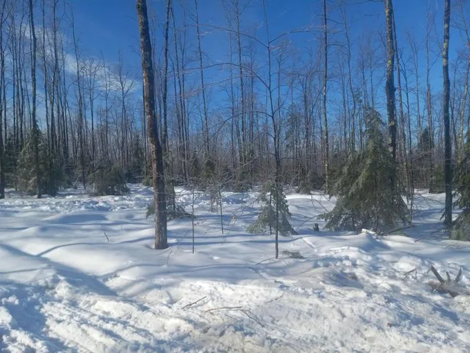 Vienna, Kennebec County, ME Undeveloped Land for sale Property ID: 418822496