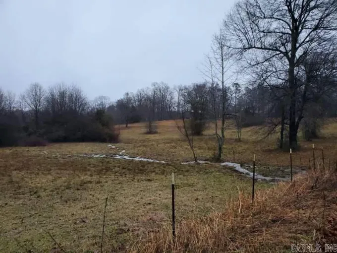 TBD POLK ROAD 19, Cove, AR 71937 Land For Sale  MLS# 24000957