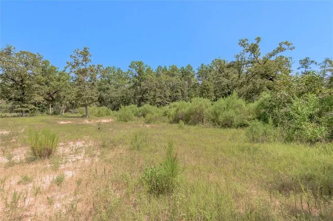 259 E Forest Oaks Dr, Trinity, TX 75862 for Sale