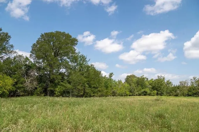 0 Fm 2620, Bedias, TX 77831 - MLS 57240510 for Sale