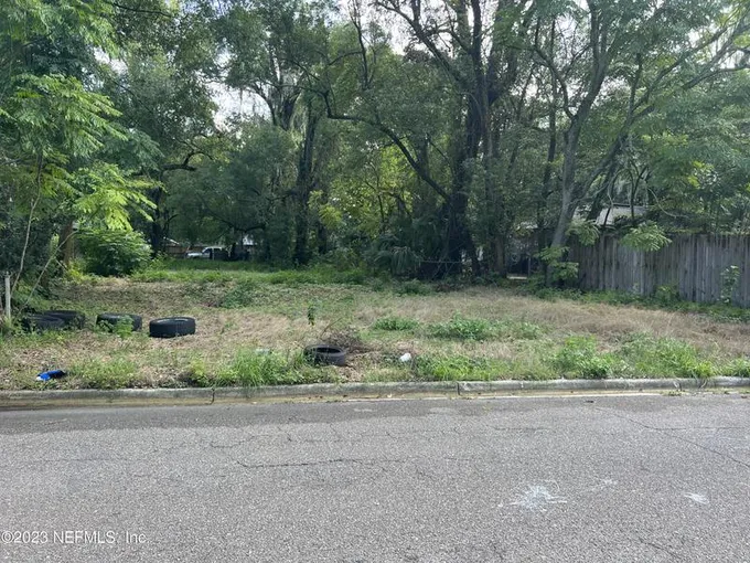 720 Virginia Street, Jacksonville, FL 32208 for Sale