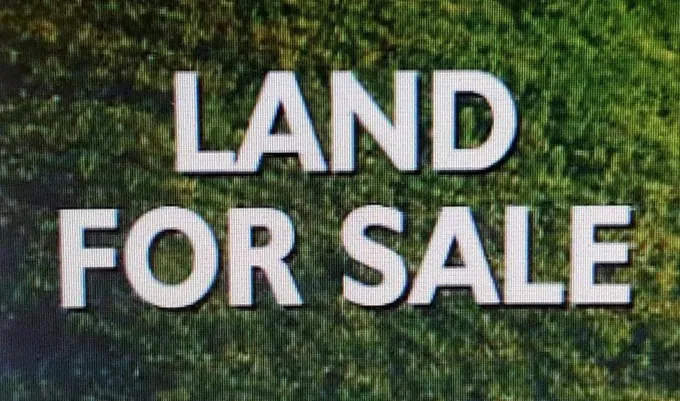 LOT 29 FAME AVE, Tuscumbia, AL 35674 Land For Sale  MLS# 514431