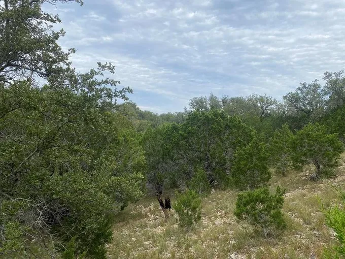 Frio Canyon Loop, Concan, TX 78838 for Sale