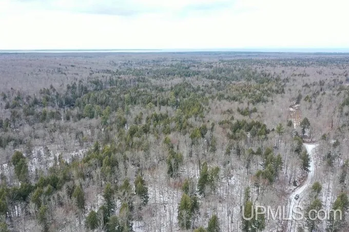 TBD OFF ERICK, Skanee, MI 49962 Land For Sale  MLS# 50133278