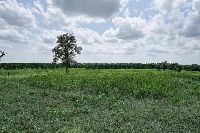 T-11 An County Road 466, Palestine, TX 75803 for Sale