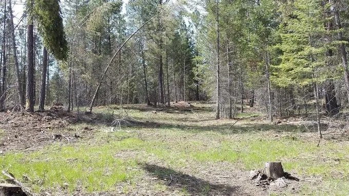 Eureka, Lincoln County, MT Undeveloped Land for sale Property ID: 418654660