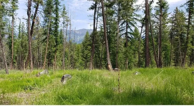 Eureka, Lincoln County, MT Undeveloped Land for sale Property ID: 418654659