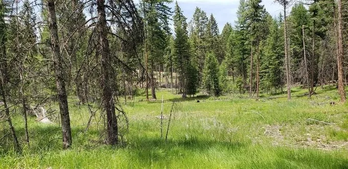 Eureka, Lincoln County, MT Undeveloped Land for sale Property ID: 418654658