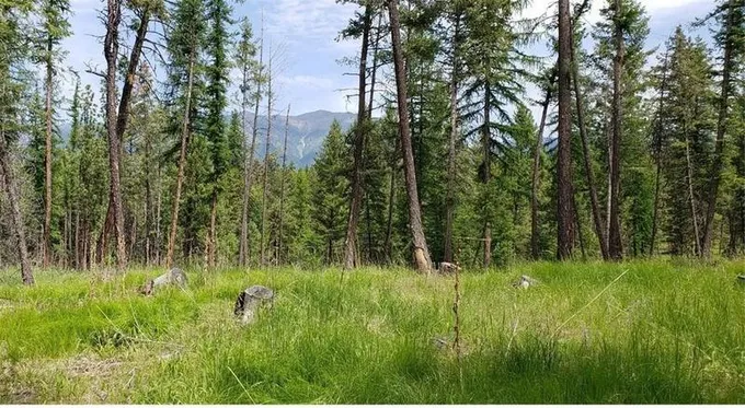 Eureka, Lincoln County, MT Undeveloped Land for sale Property ID: 418654656