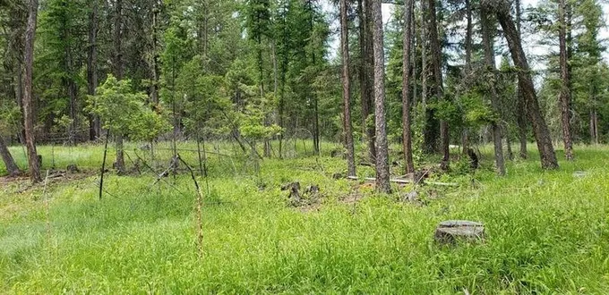 Eureka, Lincoln County, MT Undeveloped Land for sale Property ID: 418654655