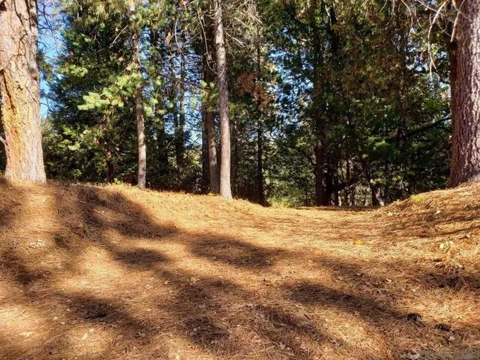 1812 SANDALWOOD DR, Murphys, CA 95247 Land For Sale  MLS# 202400104